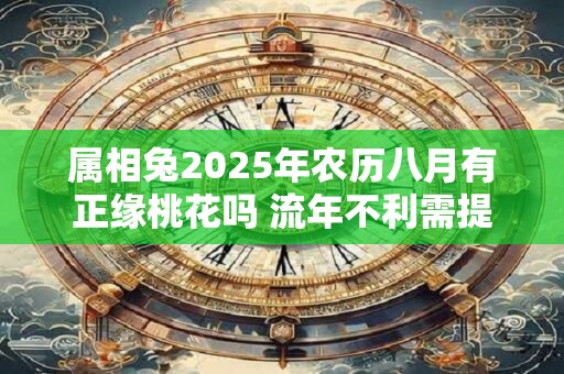 属相兔2025年农历八月有正缘桃花吗 流年不利需提防小人