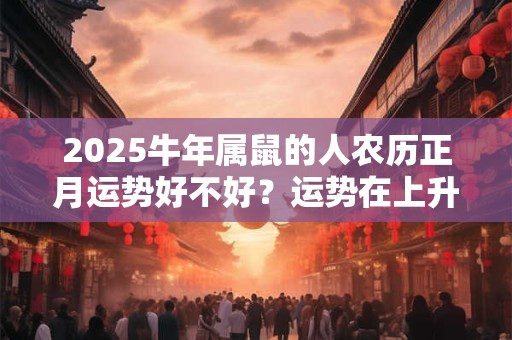 2025牛年属鼠的人农历正月运势好不好？运势在上升