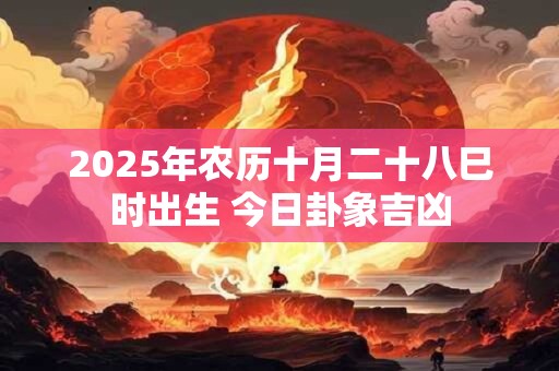 2025年农历十月二十八巳时出生 今日卦象吉凶