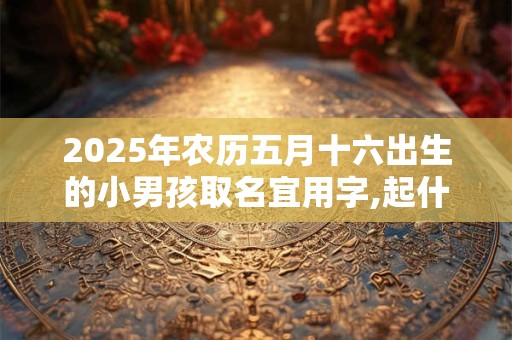 2025年农历五月十六出生的小男孩取名宜用字,起什么名字寓意佳