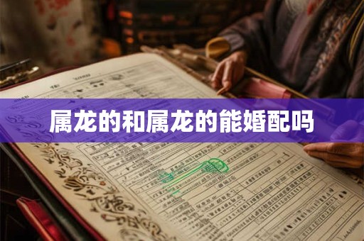 属龙的和属龙的能婚配吗