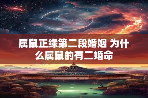 属鼠正缘第二段婚姻 为什么属鼠的有二婚命