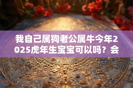 我自己属狗老公属牛今年2025虎年生宝宝可以吗？会不吉吗