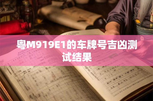 粤M919E1的车牌号吉凶测试结果