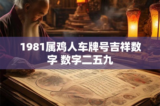 1981属鸡人车牌号吉祥数字 数字二五九