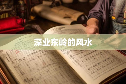 深业东岭的风水