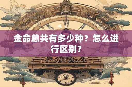 金命总共有多少种？怎么进行区别？