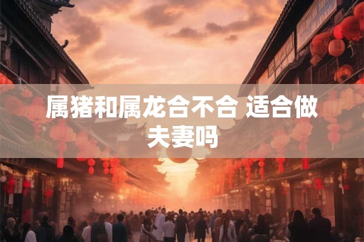 属猪和属龙合不合 适合做夫妻吗