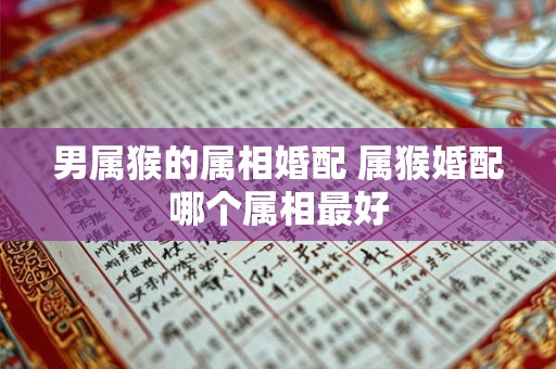 男属猴的属相婚配 属猴婚配哪个属相最好