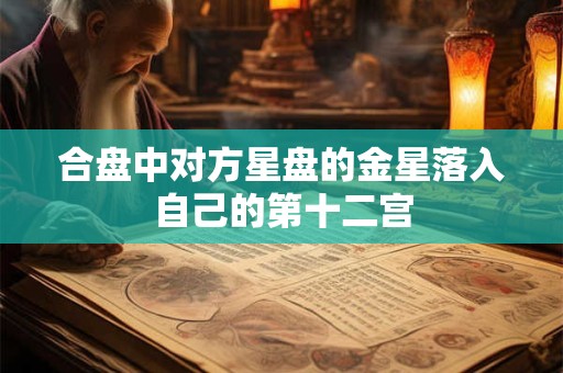 合盘中对方星盘的金星落入自己的第十二宫