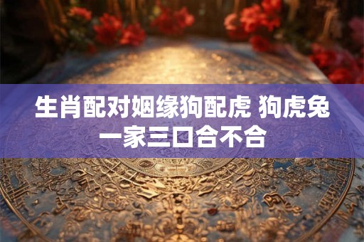 生肖配对姻缘狗配虎 狗虎兔一家三口合不合