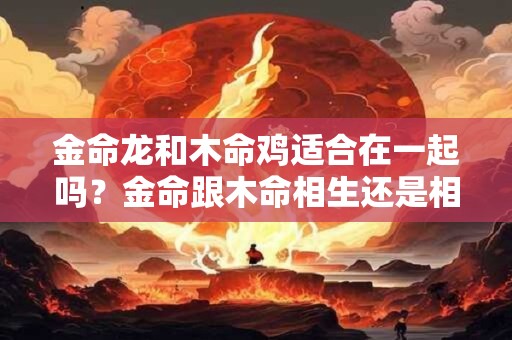 金命龙和木命鸡适合在一起吗？金命跟木命相生还是相克？