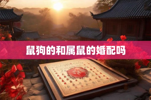 鼠狗的和属鼠的婚配吗