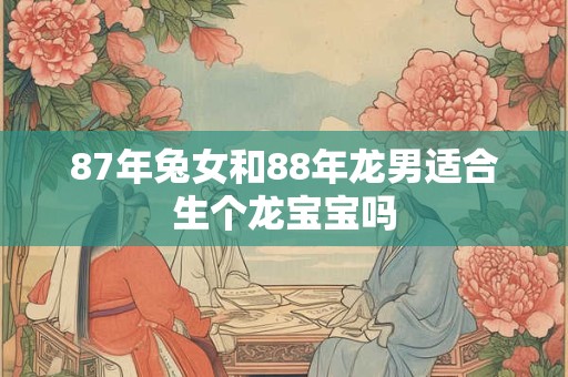 87年兔女和88年龙男适合生个龙宝宝吗
