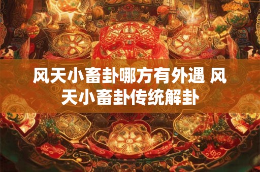 风天小畜卦哪方有外遇 风天小畜卦传统解卦