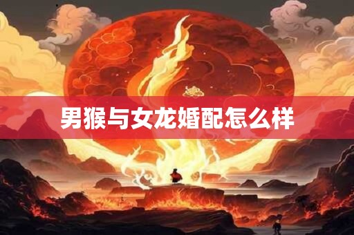 男猴与女龙婚配怎么样