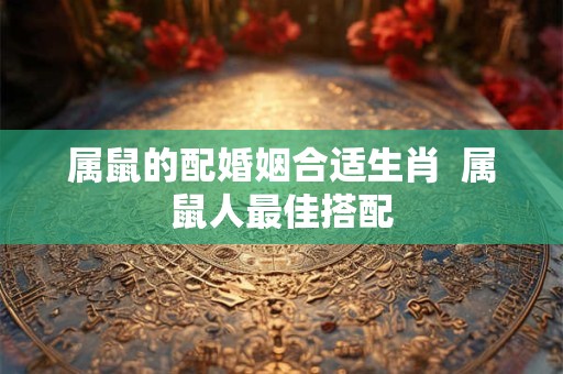 属鼠的配婚姻合适生肖  属鼠人最佳搭配