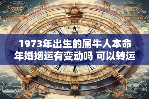 1973年出生的属牛人本命年婚姻运有变动吗 可以转运吗