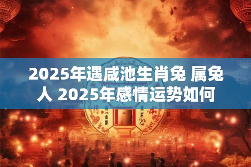 2025年遇咸池生肖兔 属兔人 2025年感情运势如何