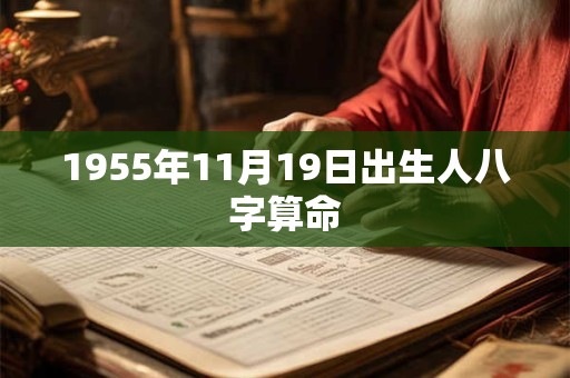 1955年11月19日出生人八字算命