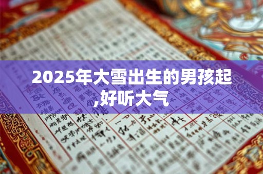 2025年大雪出生的男孩起,好听大气