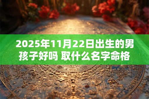 2025年11月22日出生的男孩子好吗 取什么名字命格好
