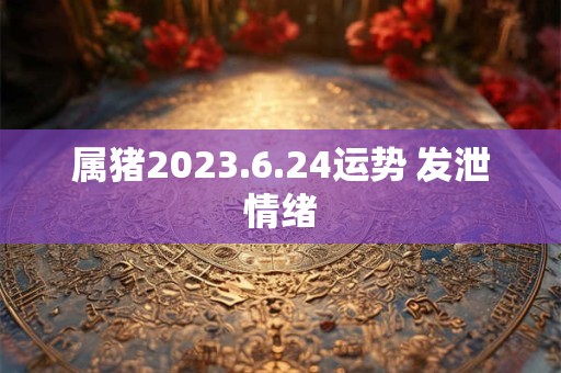 属猪2023.6.24运势 发泄情绪