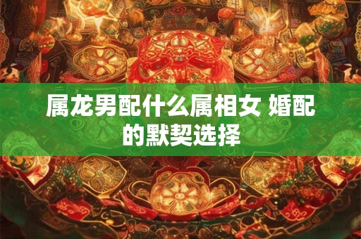 属龙男配什么属相女 婚配的默契选择