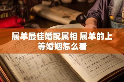 属羊最佳婚配属相 属羊的上等婚姻怎么看