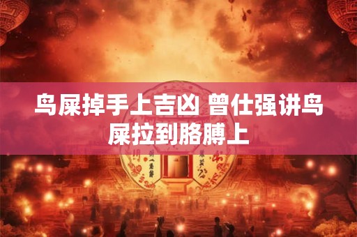 鸟屎掉手上吉凶 曾仕强讲鸟屎拉到胳膊上