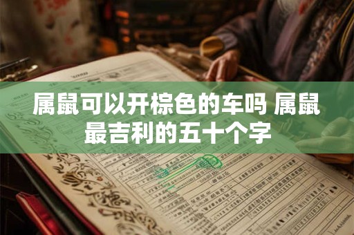 属鼠可以开棕色的车吗 属鼠最吉利的五十个字