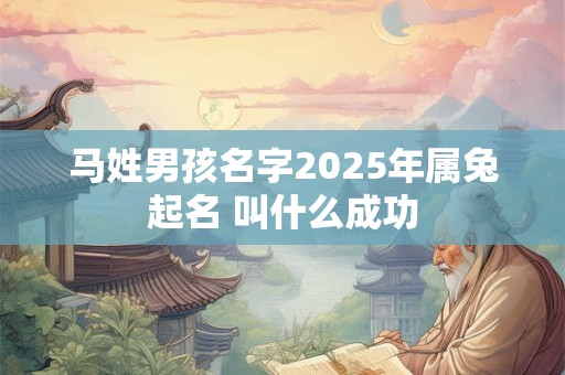 马姓男孩名字2025年属兔起名 叫什么成功