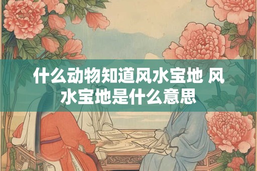 什么动物知道风水宝地 风水宝地是什么意思