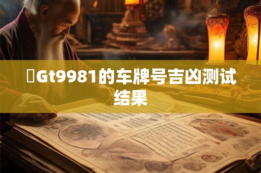 粵Gt9981的车牌号吉凶测试结果