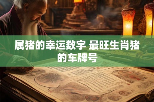 属猪的幸运数字 最旺生肖猪的车牌号