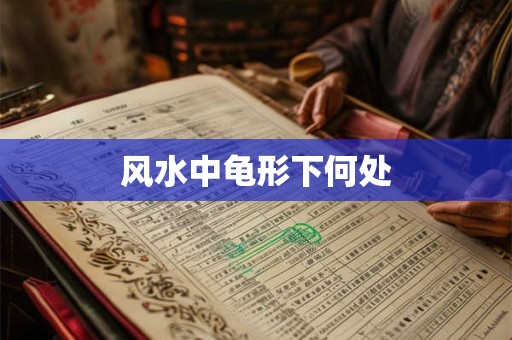 风水中龟形下何处