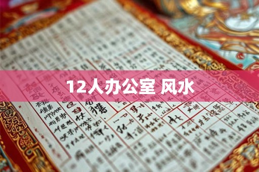 12人办公室 风水