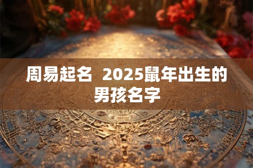 周易起名  2025鼠年出生的男孩名字