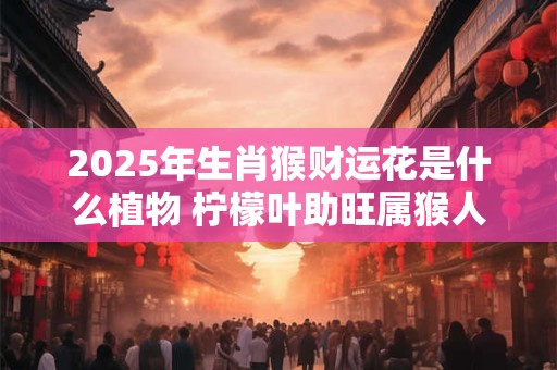 2025年生肖猴财运花是什么植物 柠檬叶助旺属猴人财运
