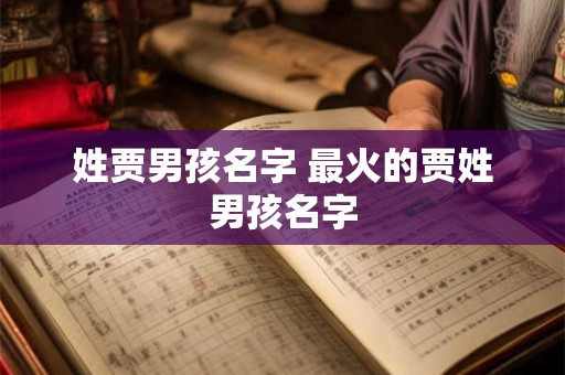 姓贾男孩名字 最火的贾姓男孩名字