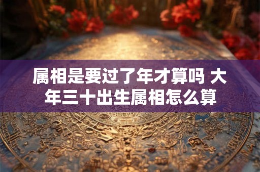 属相是要过了年才算吗 大年三十出生属相怎么算