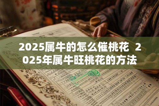 2025属牛的怎么催桃花  2025年属牛旺桃花的方法