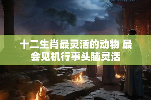 十二生肖最灵活的动物 最会见机行事头脑灵活