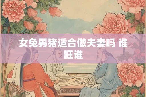 女兔男猪适合做夫妻吗 谁旺谁