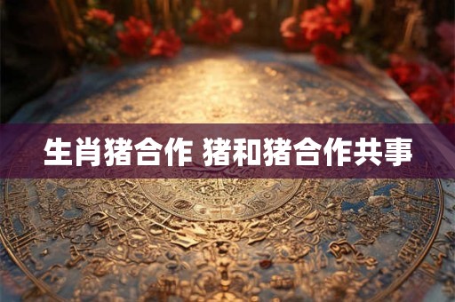 生肖猪合作 猪和猪合作共事
