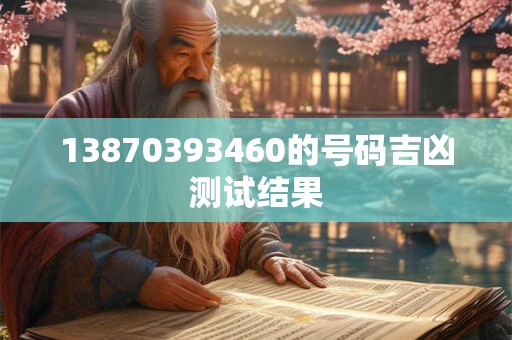 13870393460的号码吉凶测试结果