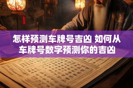 怎样预测车牌号吉凶 如何从车牌号数字预测你的吉凶