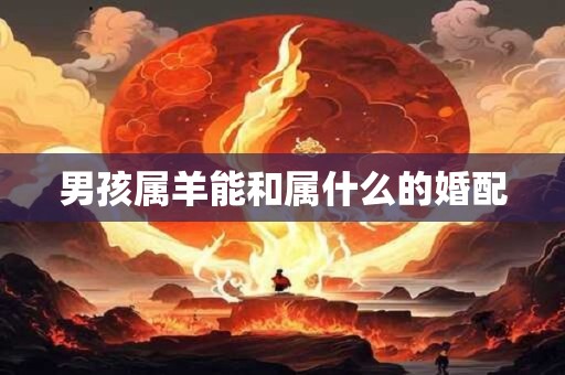 男孩属羊能和属什么的婚配