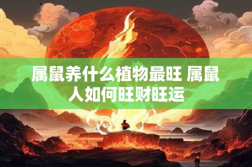 属鼠养什么植物最旺 属鼠人如何旺财旺运