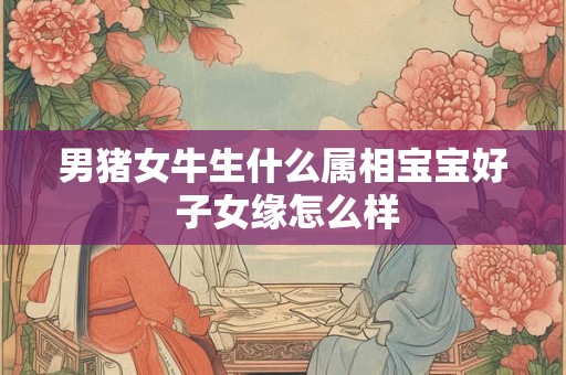 男猪女牛生什么属相宝宝好 子女缘怎么样
